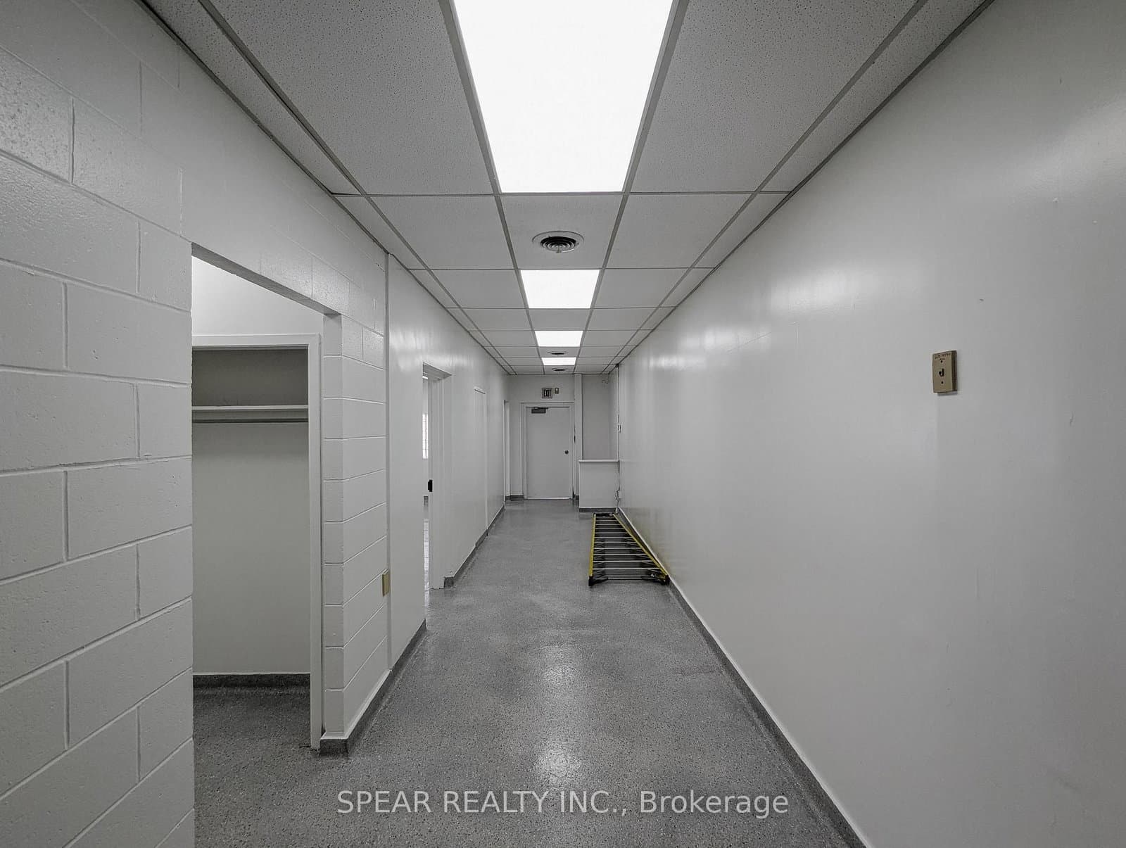 421 Dundas Street E thumbnail 6