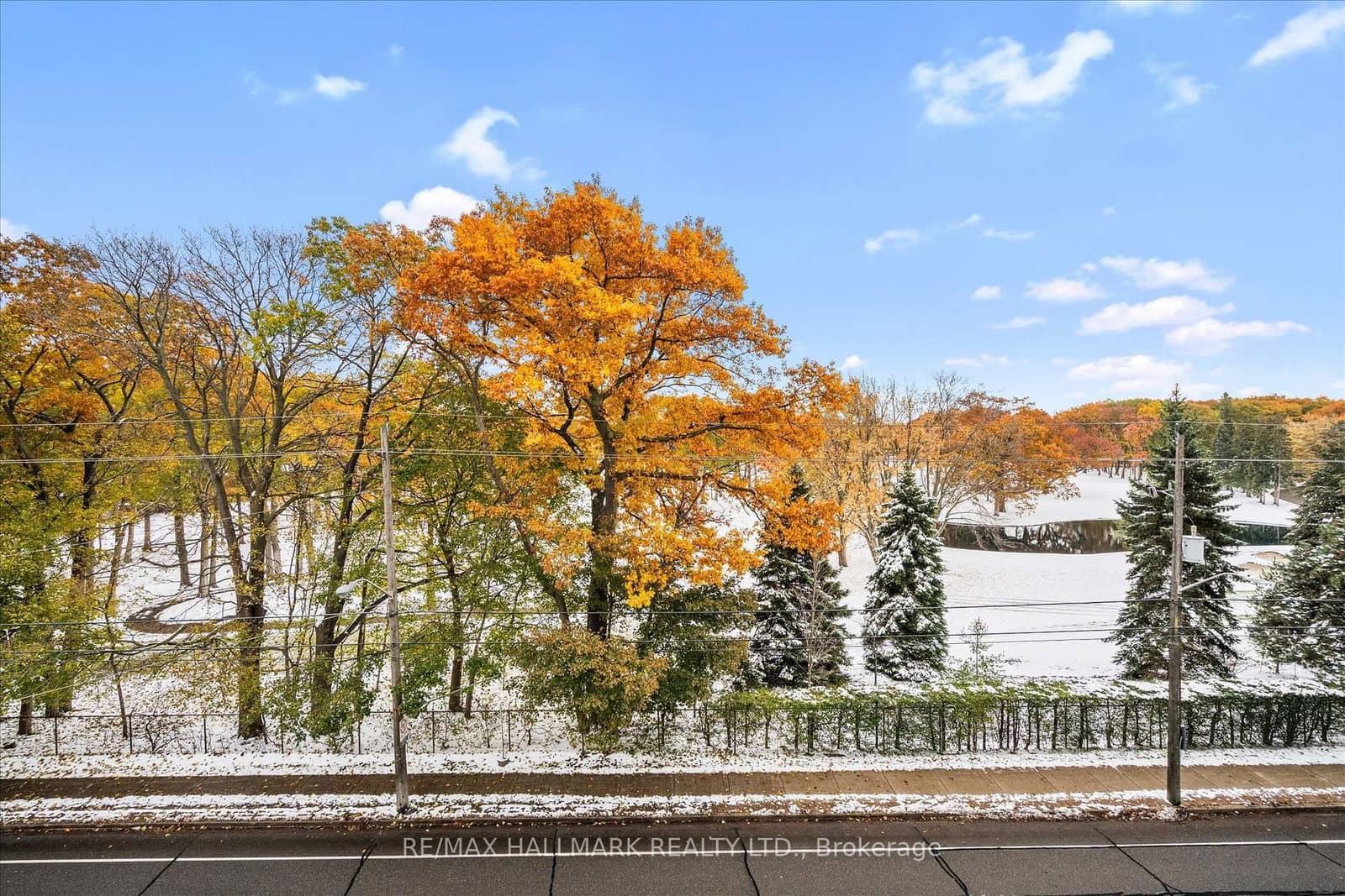 1350 Kingston Road, Unit 409 thumbnail 29