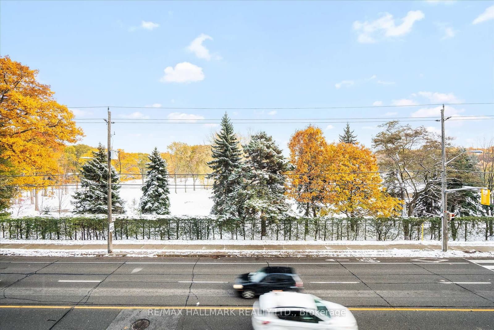 1350 Kingston Road, Unit 215 thumbnail 28