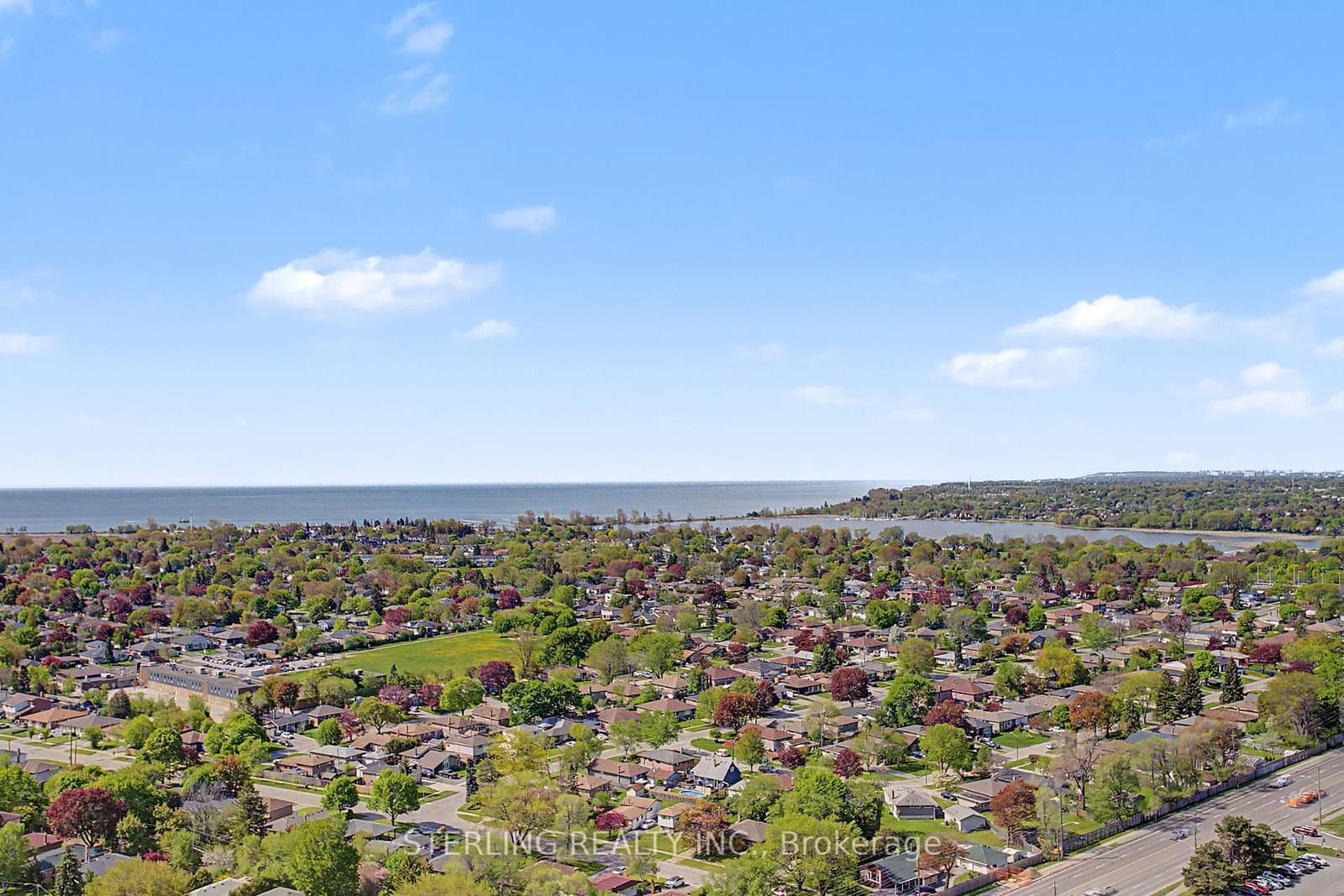 1455 Celebration Drive, Unit 2803 thumbnail 5