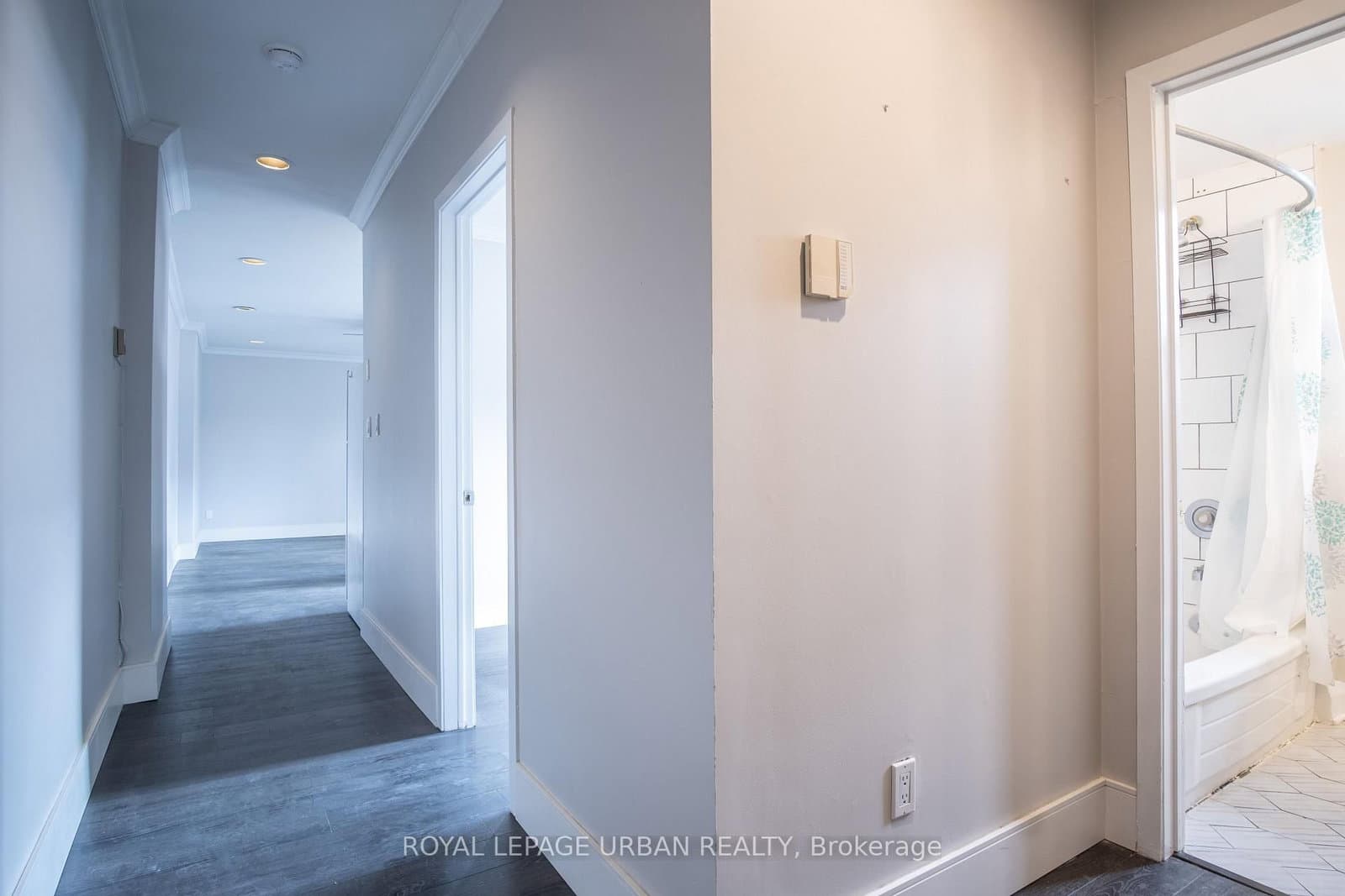 636 Danforth Avenue, Unit 2 thumbnail 2