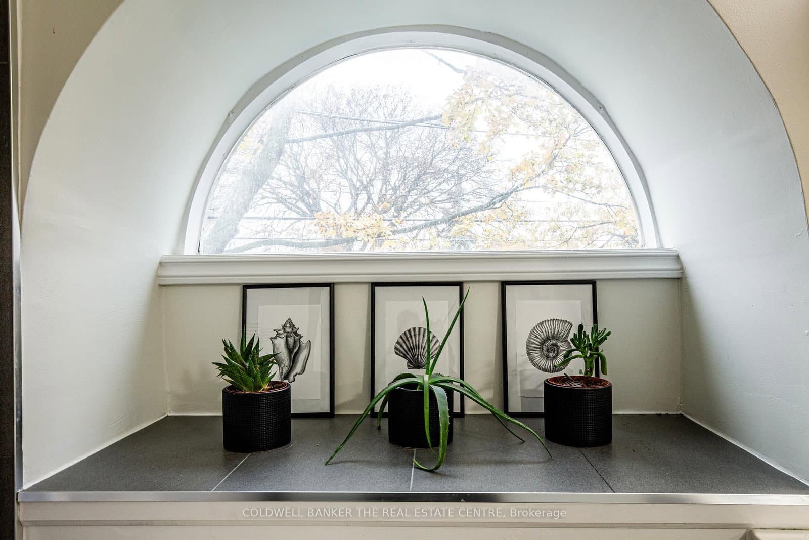 45 Birchmount Road, Unit 6 thumbnail 21