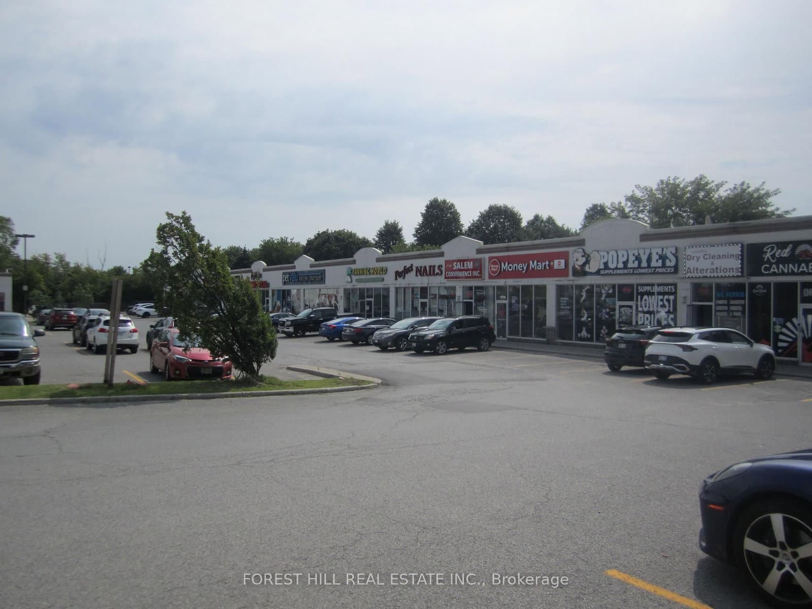 65 Kingston Road E, Unit 2 thumbnail 4