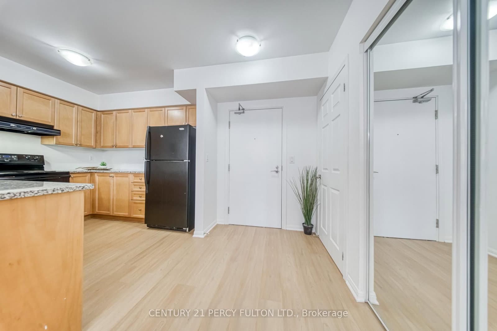60 Mendelssohn Street, Unit 203 thumbnail 6