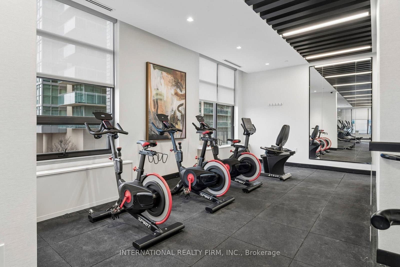 1606 Charles Street, Unit 1701 thumbnail 23