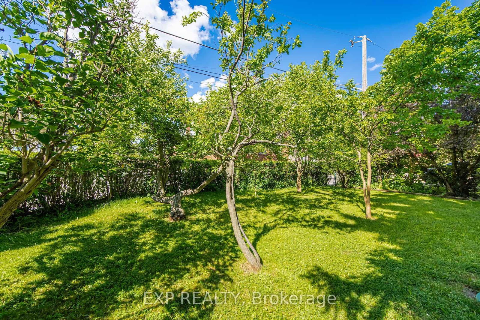 43 Ridgemoor Avenue thumbnail 42