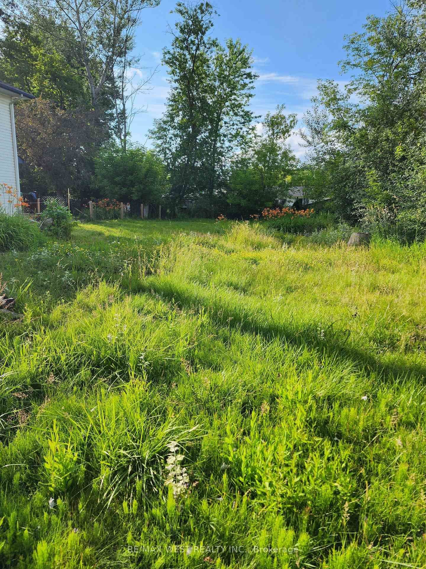 310 Terrace Drive thumbnail 4