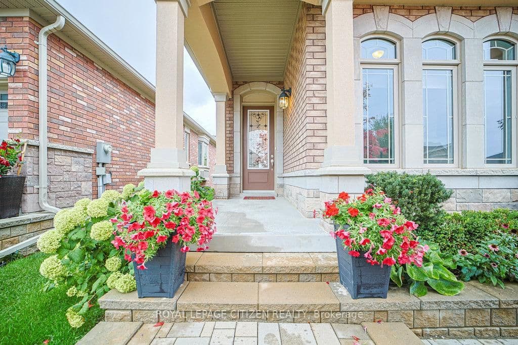 19 Westmount Drive thumbnail 4