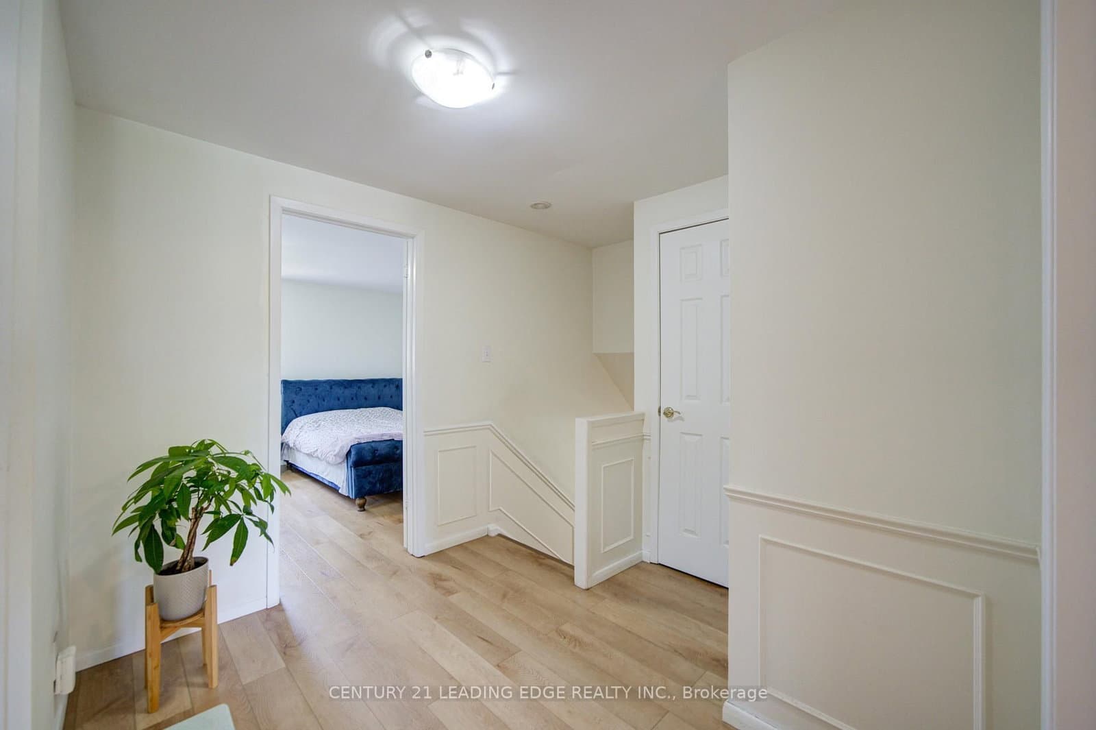 43 Carlton Road thumbnail 11