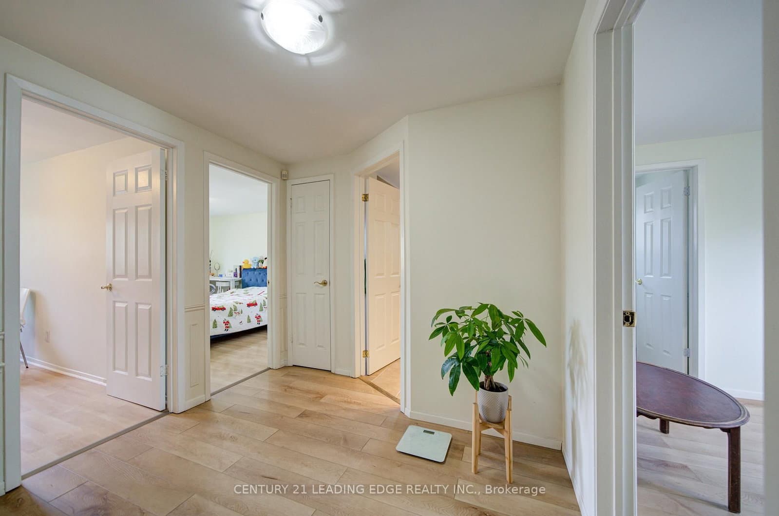 43 Carlton Road thumbnail 12