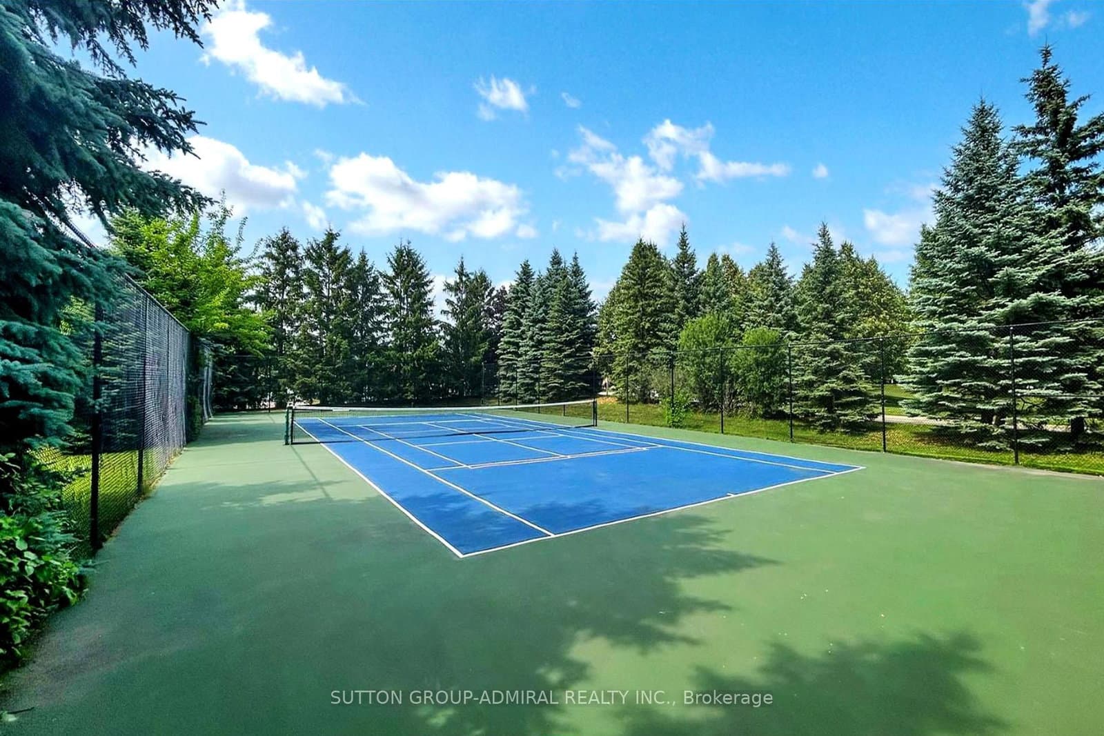 91 Townsgate Drive, Unit 203 thumbnail 50
