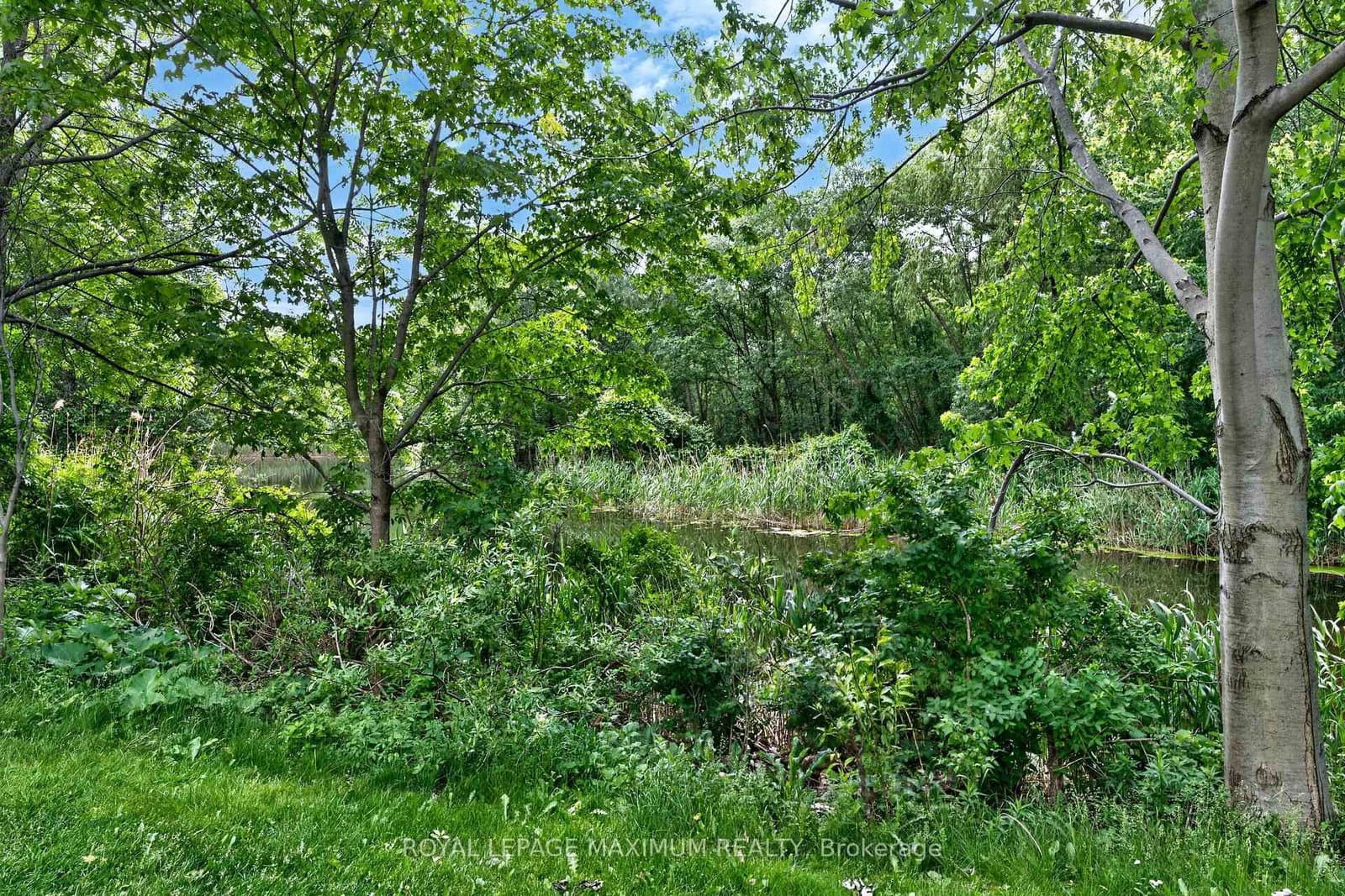 9245 Jane Street, Unit 914 thumbnail 47