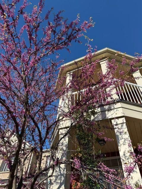 232 Stonebridge Drive thumbnail 48