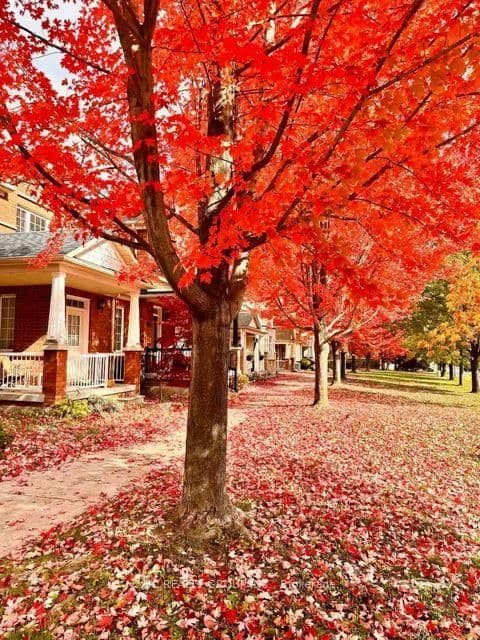 232 Stonebridge Drive thumbnail 49