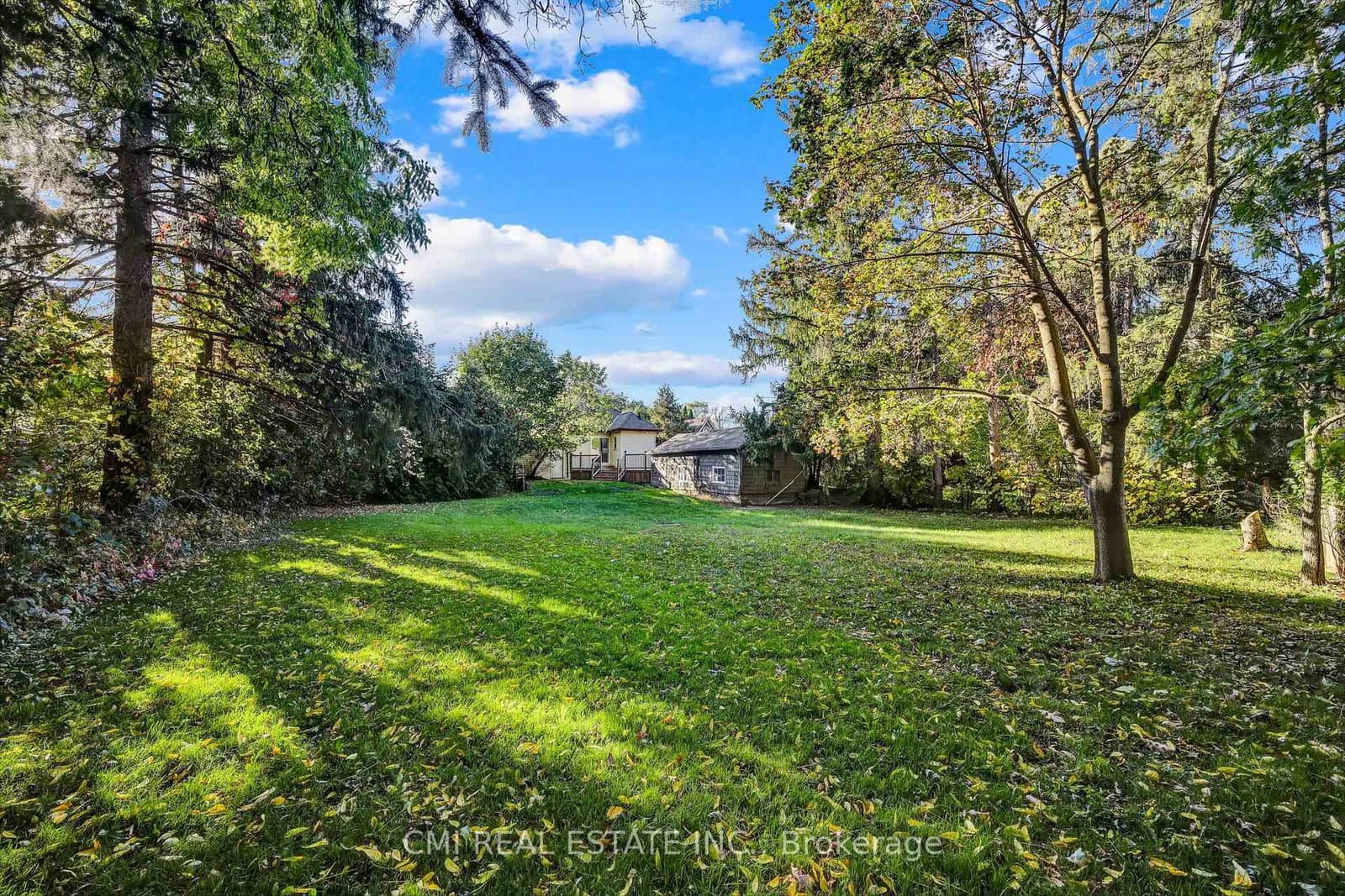 153 Clarence Street thumbnail 47