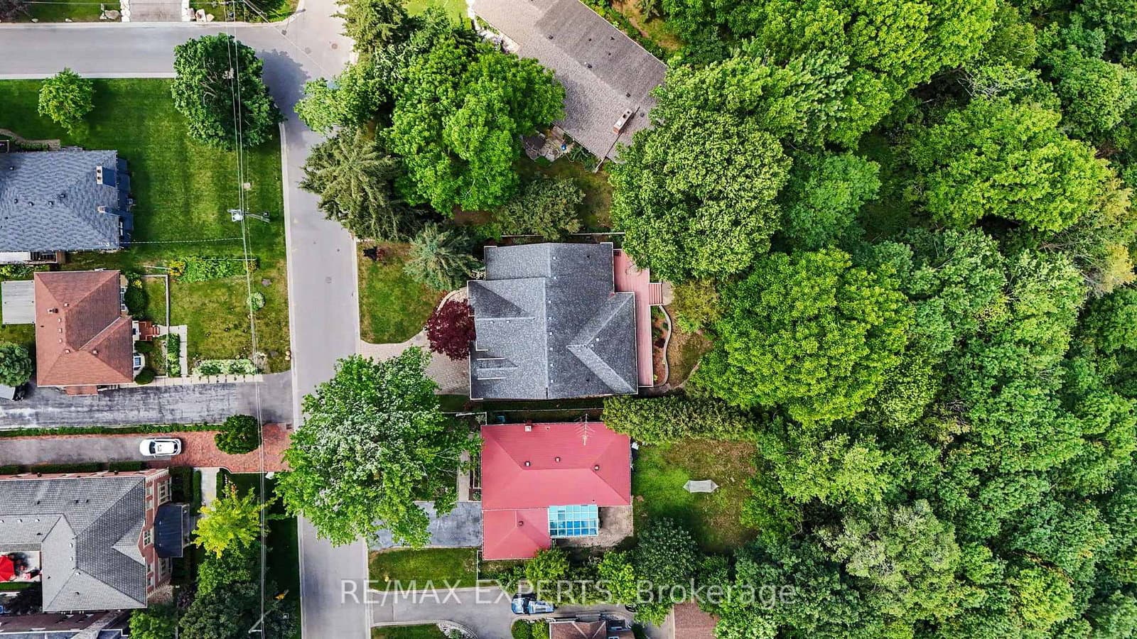 91 Napier Street thumbnail 47