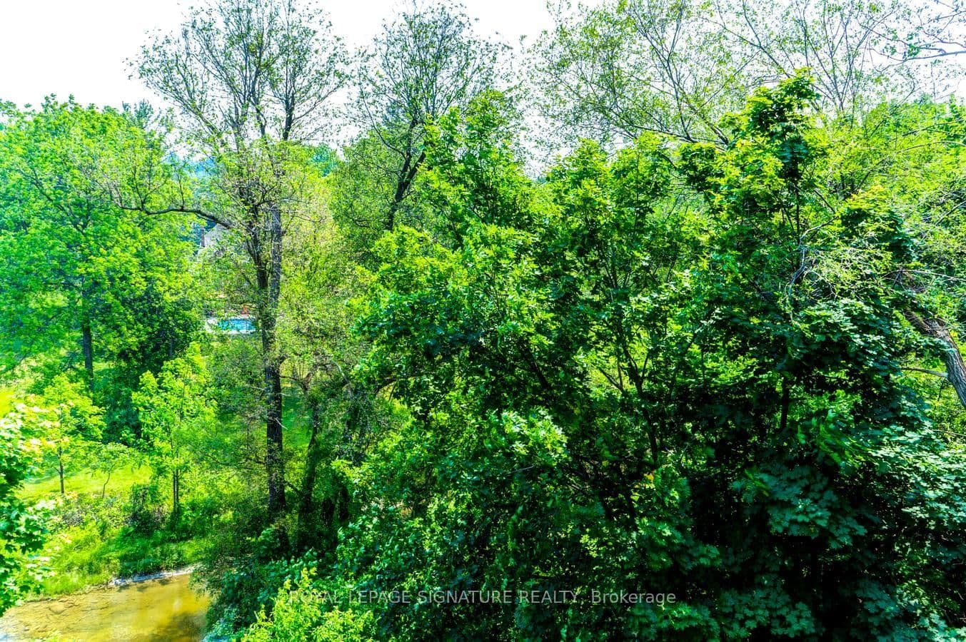 201 Pine Grove Rd Road, Unit 426 thumbnail 33