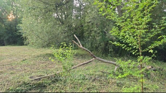 0 Fergus Avenue thumbnail 11