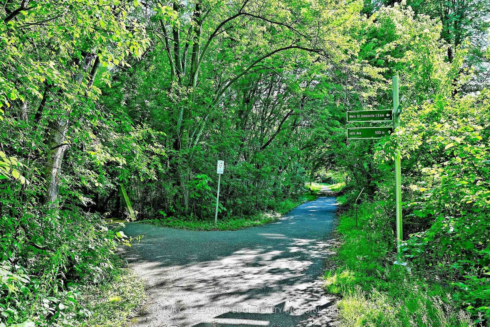 7 Normandale Road thumbnail 50