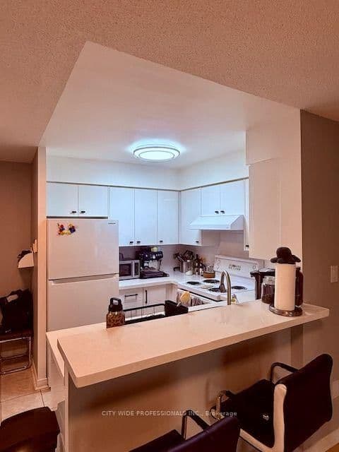 39 Oneida Crescent, Unit 509 thumbnail 9
