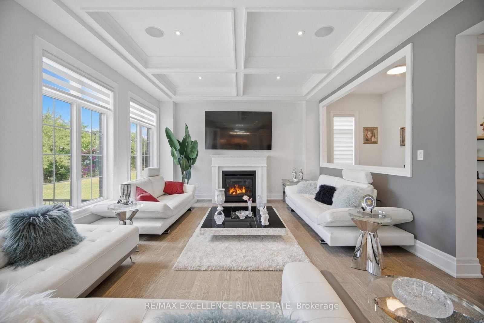 319 Torrey Pines Road thumbnail 10