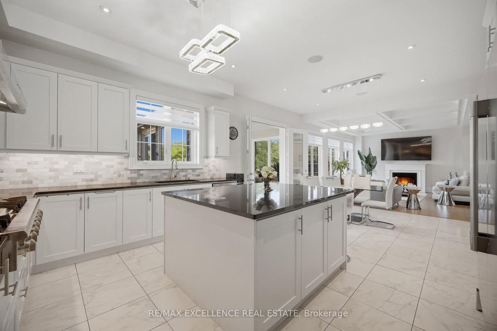 319 Torrey Pines Road thumbnail 15