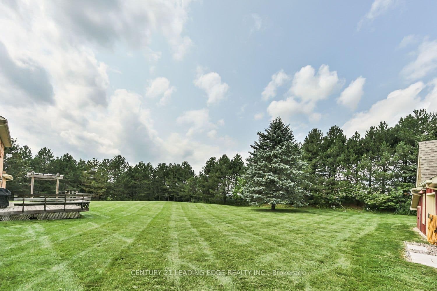 12 Taylor Drive thumbnail 39