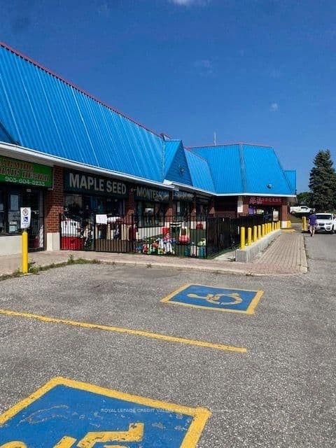50 Lockridge Avenue, Unit 8 thumbnail 4