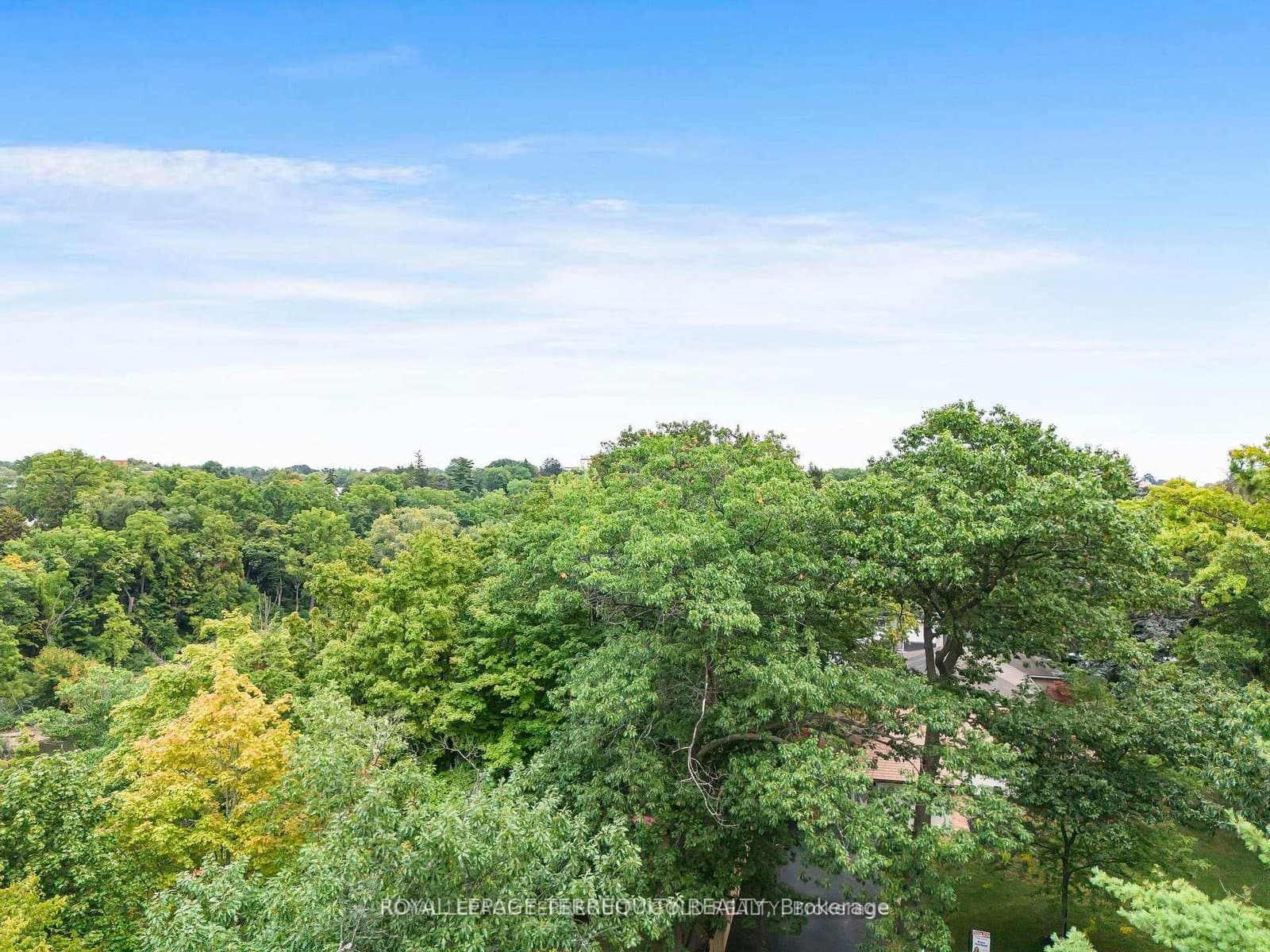 327 River Side Drive thumbnail 46