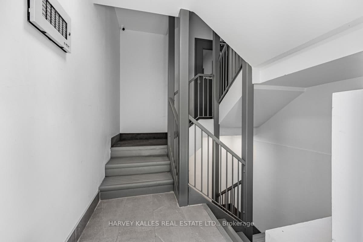 18 Cavell Avenue thumbnail 5