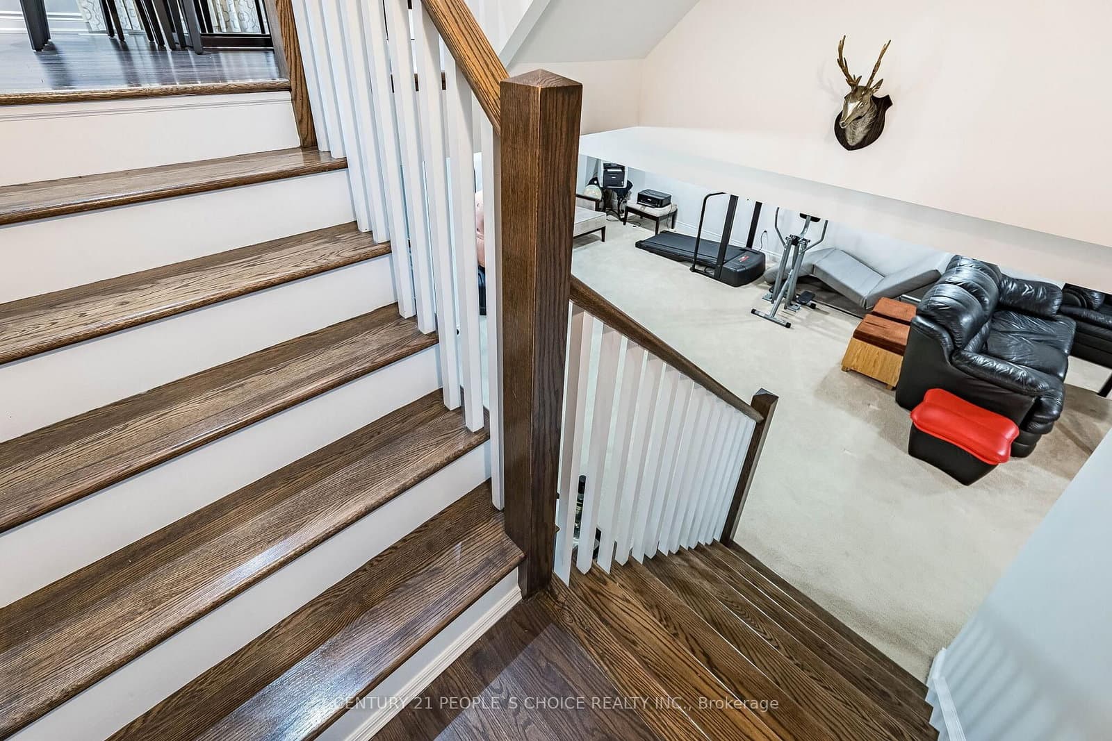 65 Honeyview Trail thumbnail 42