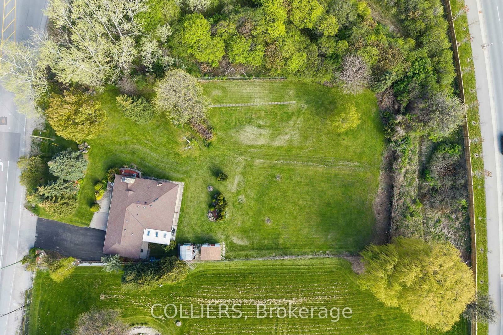 9186 Goreway Drive thumbnail 3
