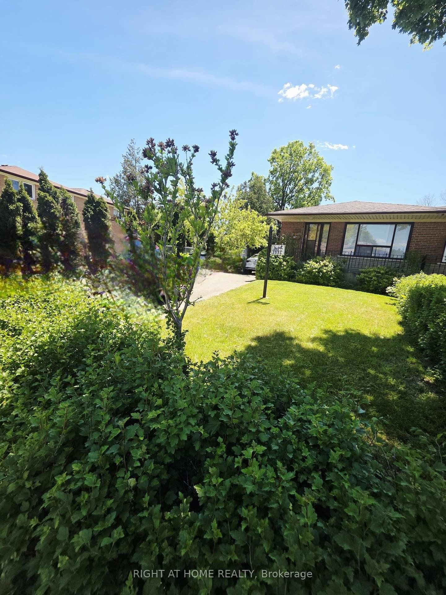 3556 Monica Drive thumbnail 4