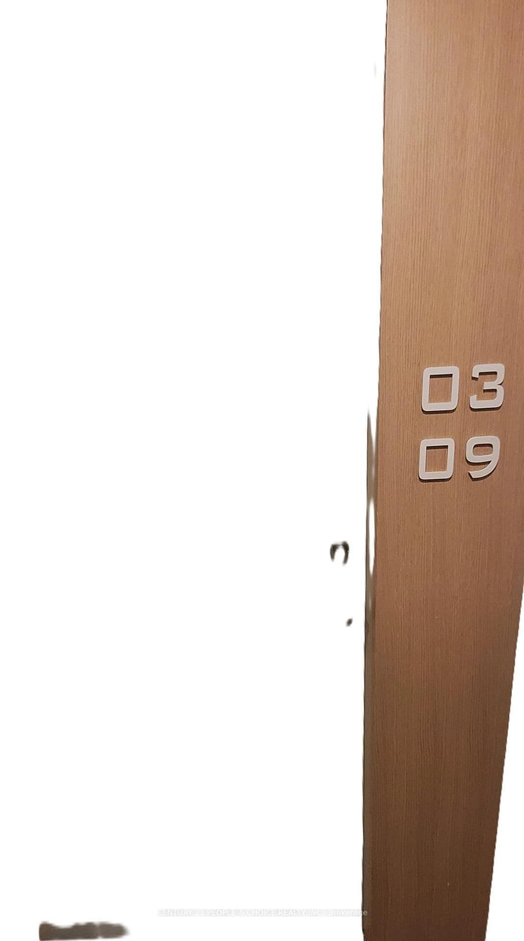 1100 Sheppard Avenue W, Unit 309 thumbnail 3