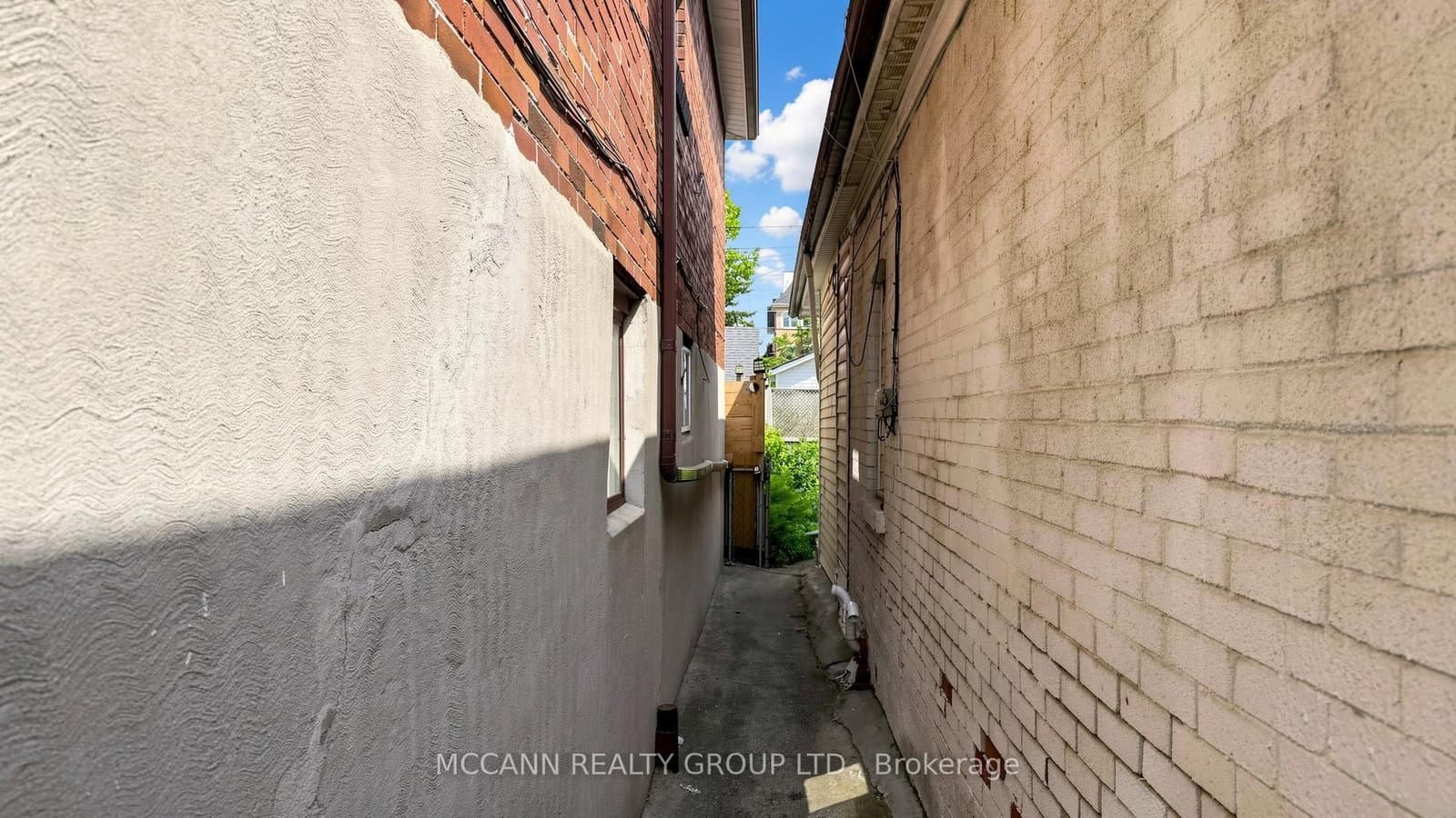384 Whitmore Avenue thumbnail 25