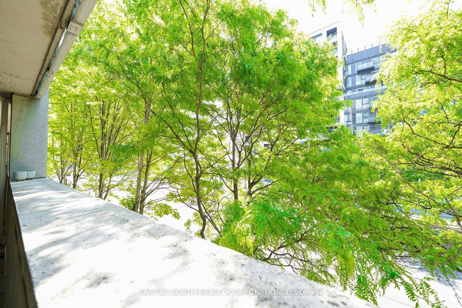 1050 The Queensway, Unit 207 thumbnail 25