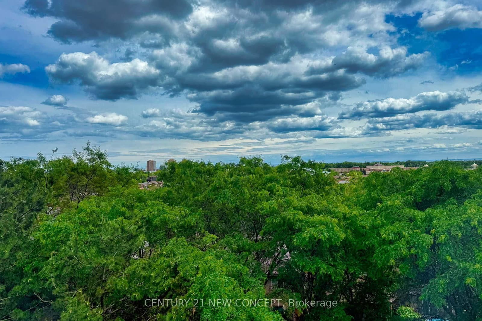 250 Webb Drive, Unit 604 thumbnail 38