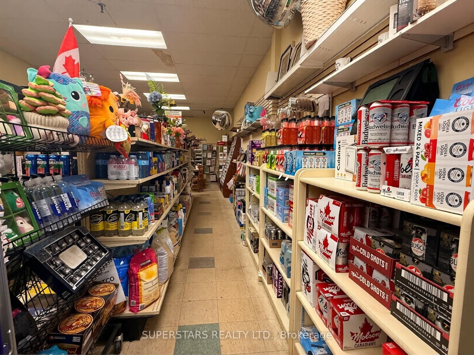 1151 Dundas Street W, Unit 11 thumbnail 4