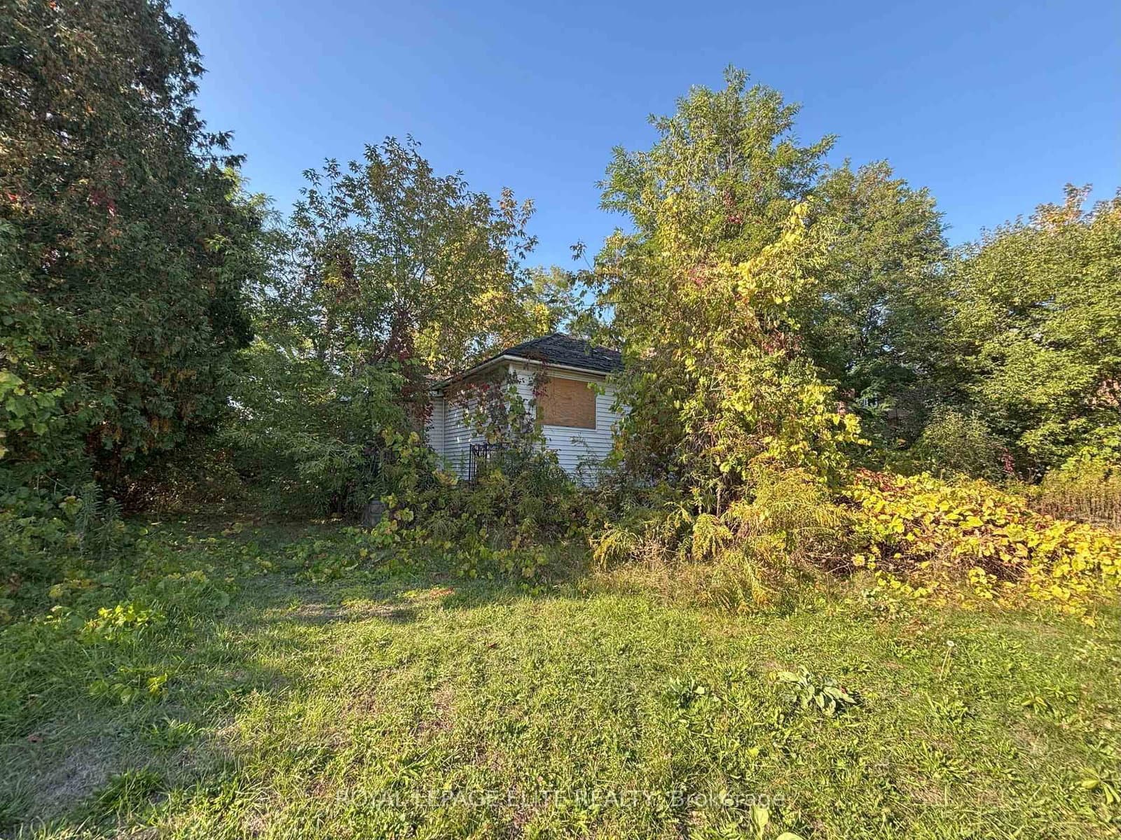 1631 Eglinton Avenue W thumbnail 10