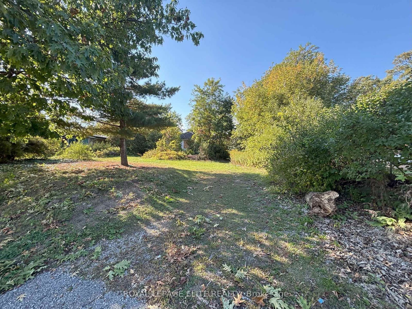 1631 Eglinton Avenue W thumbnail 11