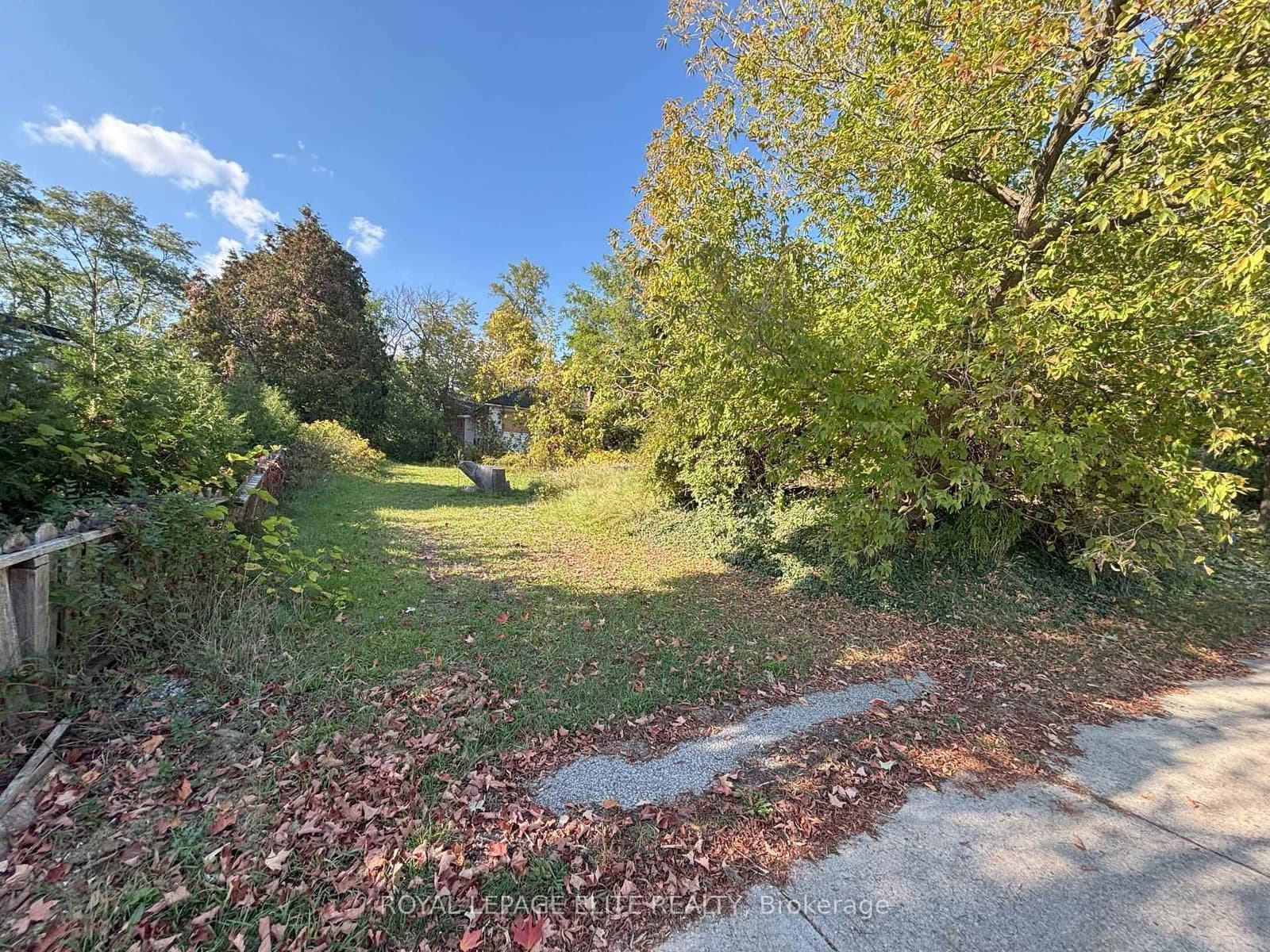 1631 Eglinton Avenue W thumbnail 5