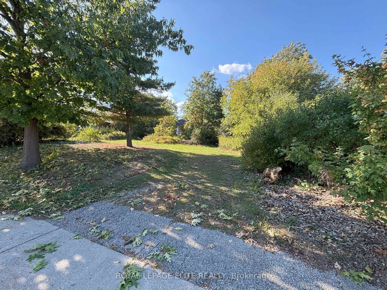 1631 Eglinton Avenue W thumbnail 9