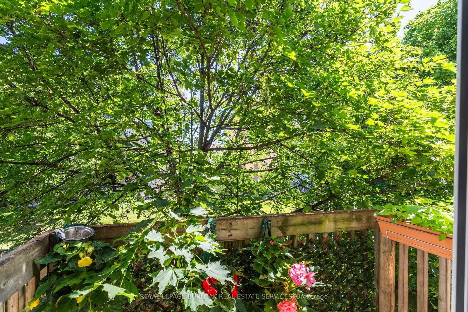 3480 Upper Middle Road, Unit 110 thumbnail 23
