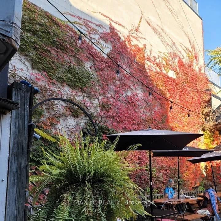 293 Roncesvalles Avenue thumbnail 9