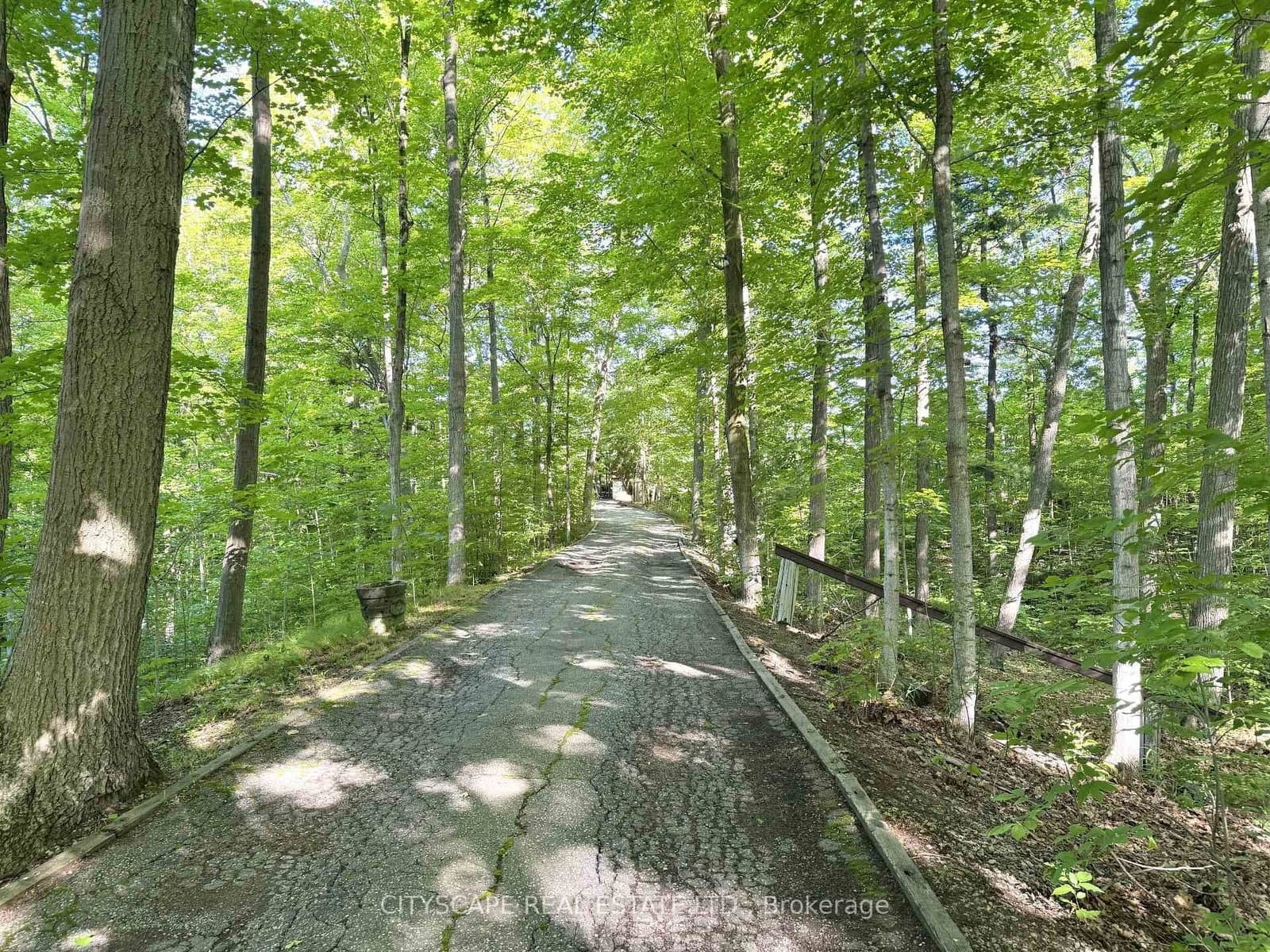 2194 Lower Base Line thumbnail 5