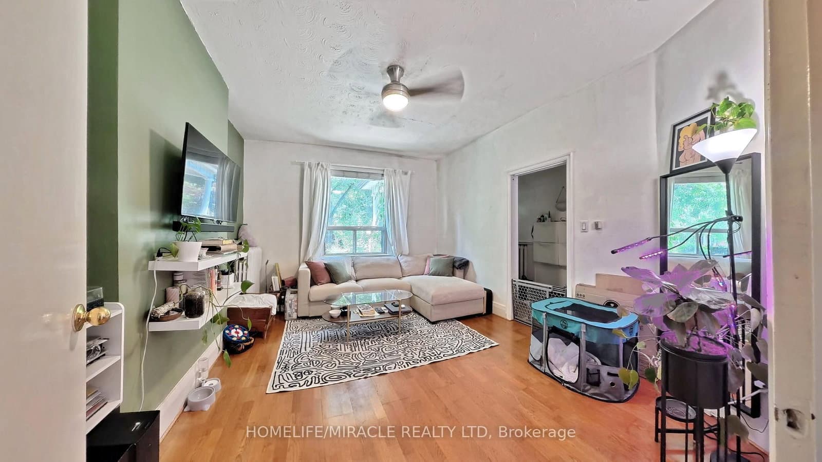 121 Medland Street thumbnail 25
