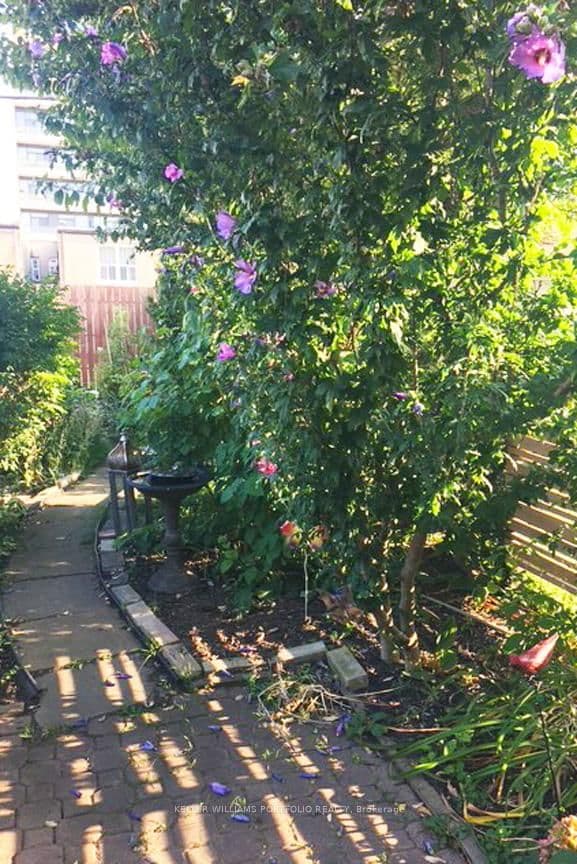 97 Livingstone Avenue thumbnail 21