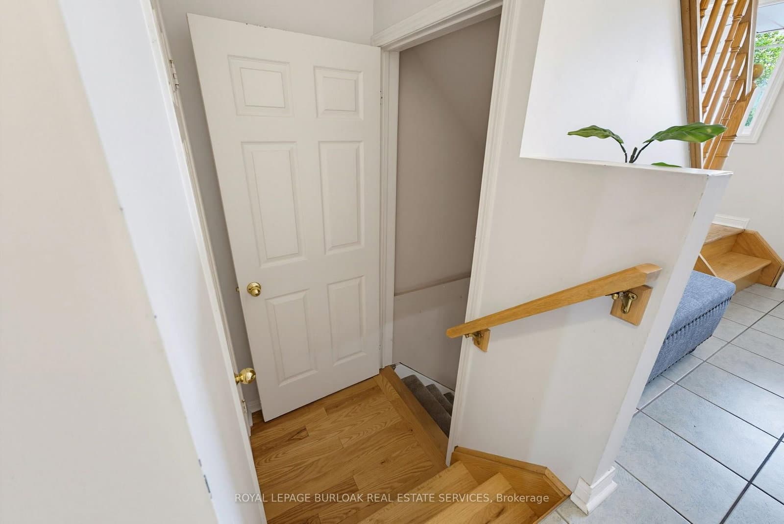 4425 Peter Drive thumbnail 27