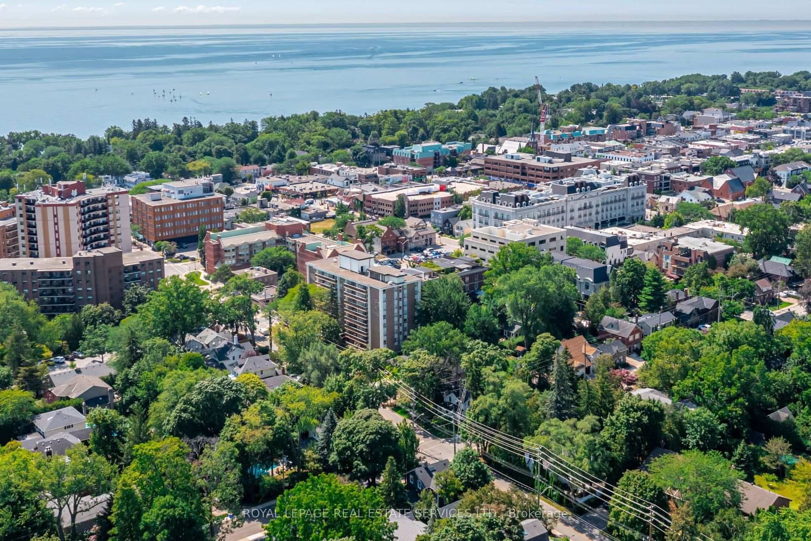 235 Douglas Avenue thumbnail 23