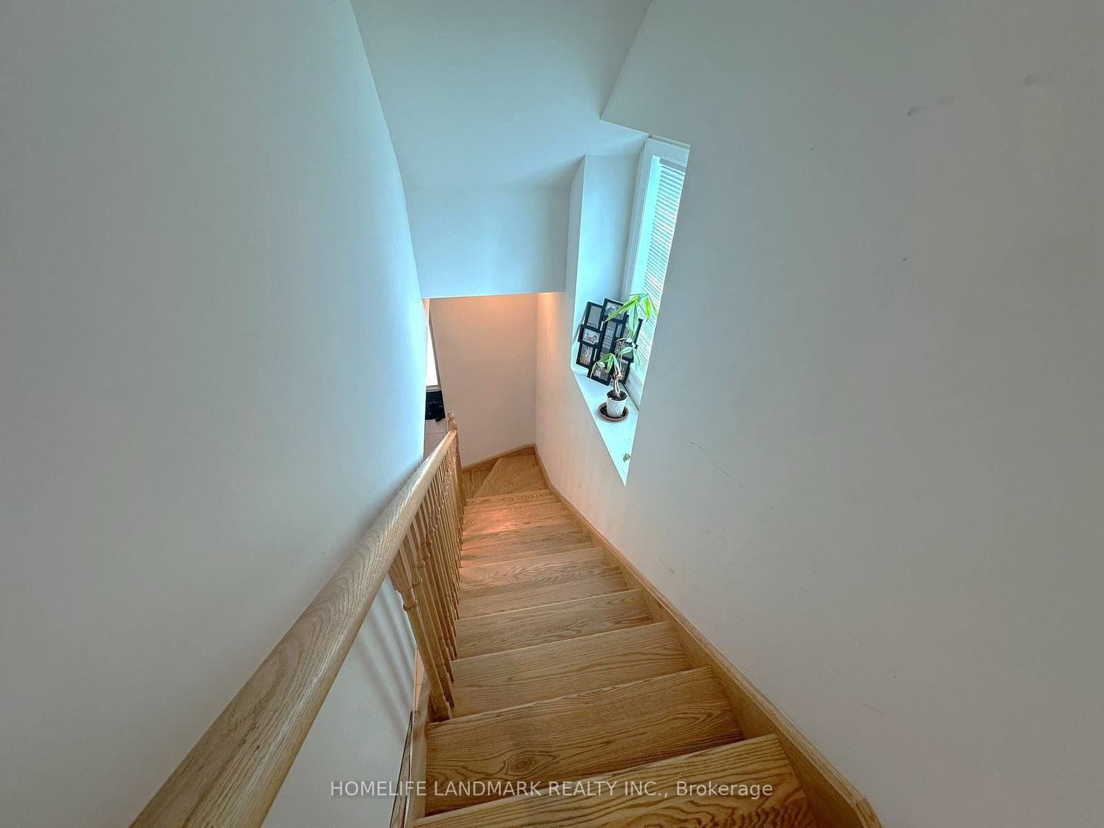 18 Lavinia Road thumbnail 14